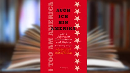 Buchcover: Auch ich bin Amerika" herausgegeben von Eva Tanita Kraaz und Kai Sina