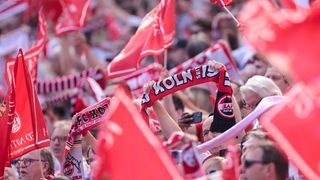 Fans des 1.FC Köln im Stadion