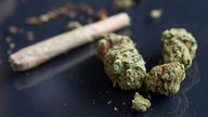 Cannabis Knospen und Joint
